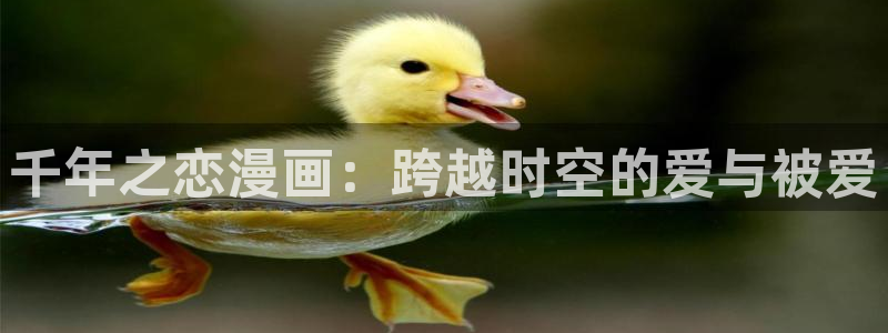 内涵韩国漫画