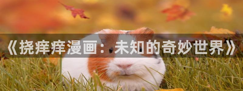 韩国漫画免费看的软件入口