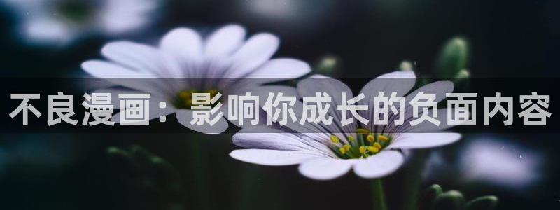 韩国漫画网在线阅读免费