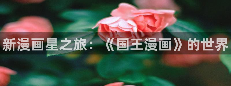 继母的朋友们韩国漫画
